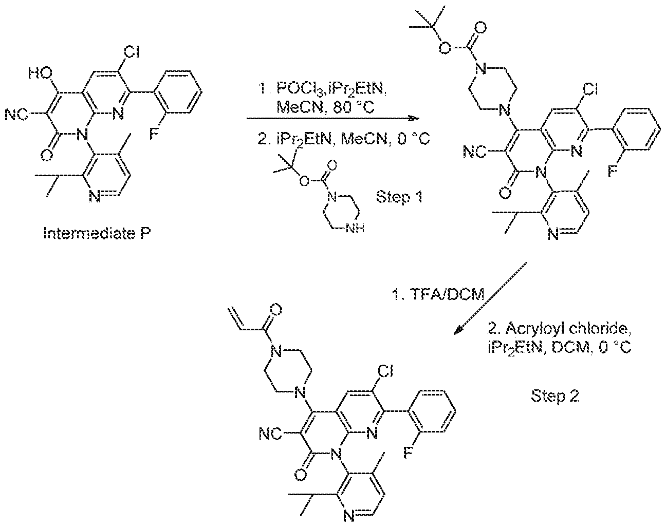 Figure imgf000079_0001
