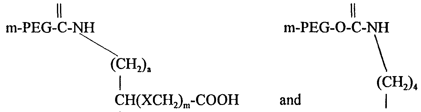 Figure imgf000013_0001