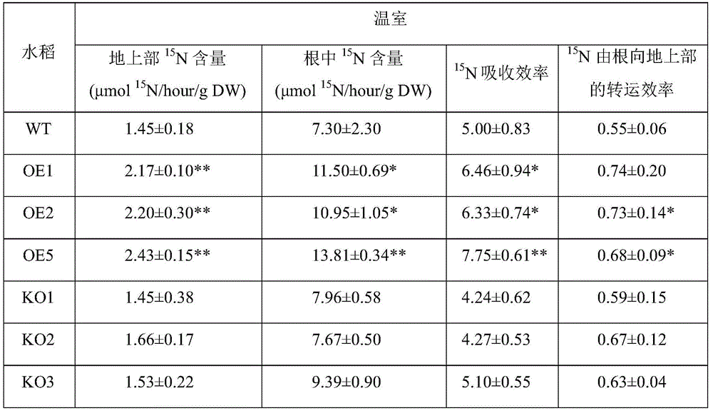 Figure BDA0003140964440000161
