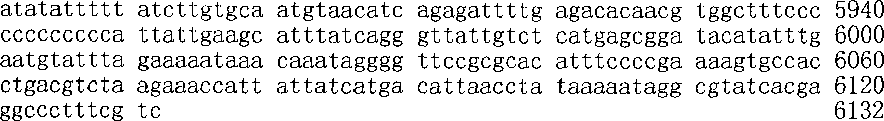 Figure A200780009494D01291