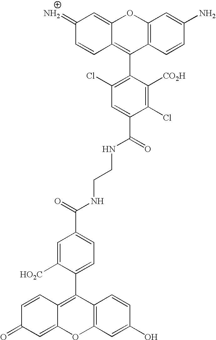 Figure US20070154927A1-20070705-C00079