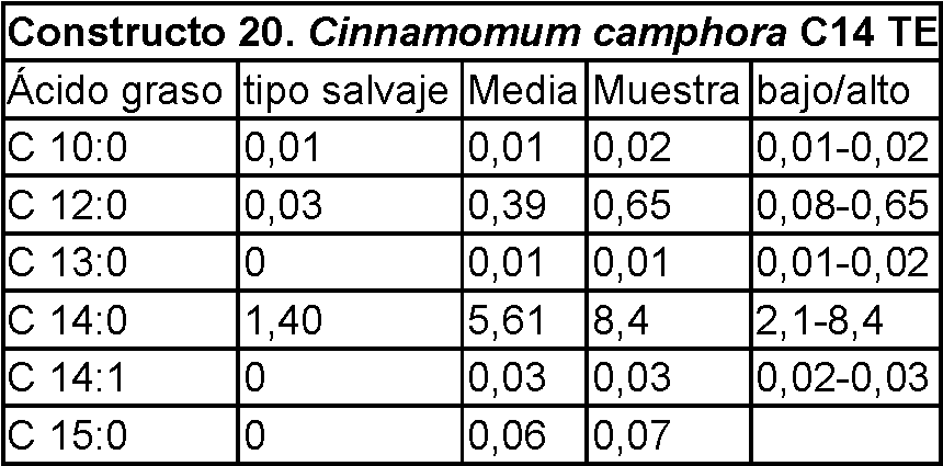 Figure imgf000072_0002