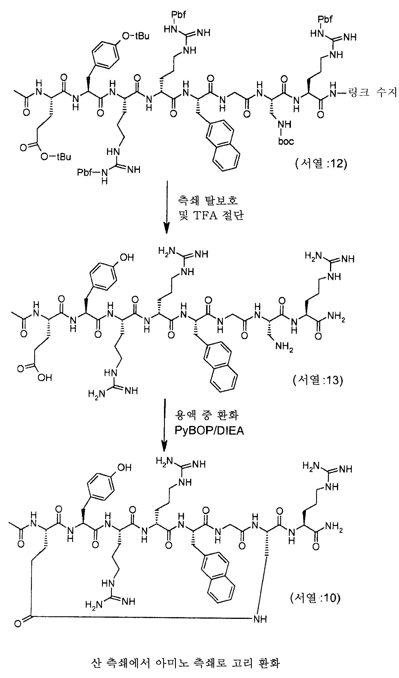 Figure 112009073236969-pct00009