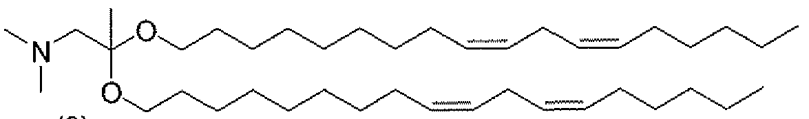 Figure imgf000019_0001