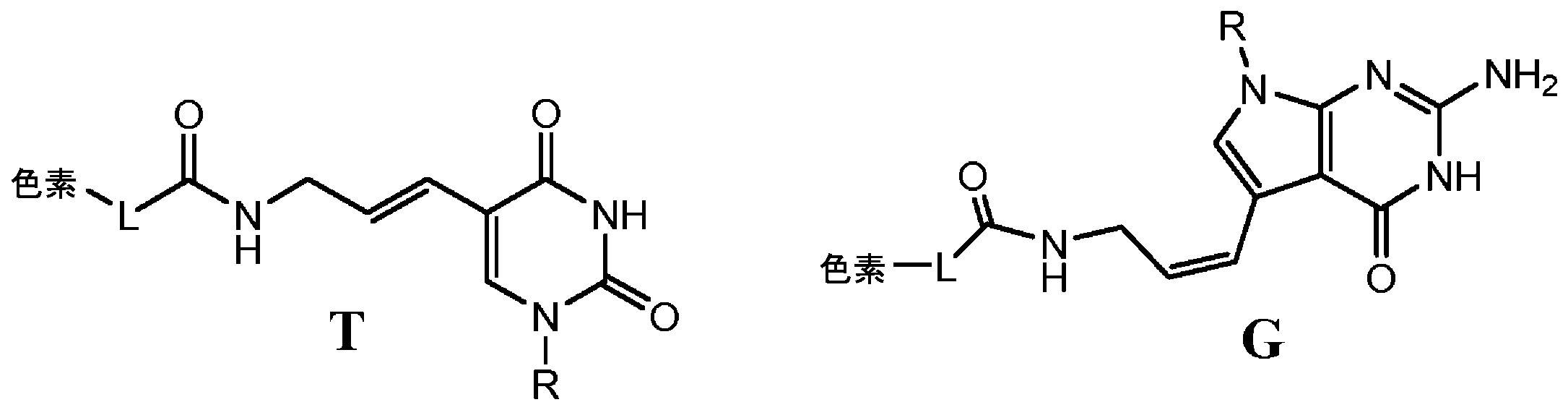 Figure 2023510454000064