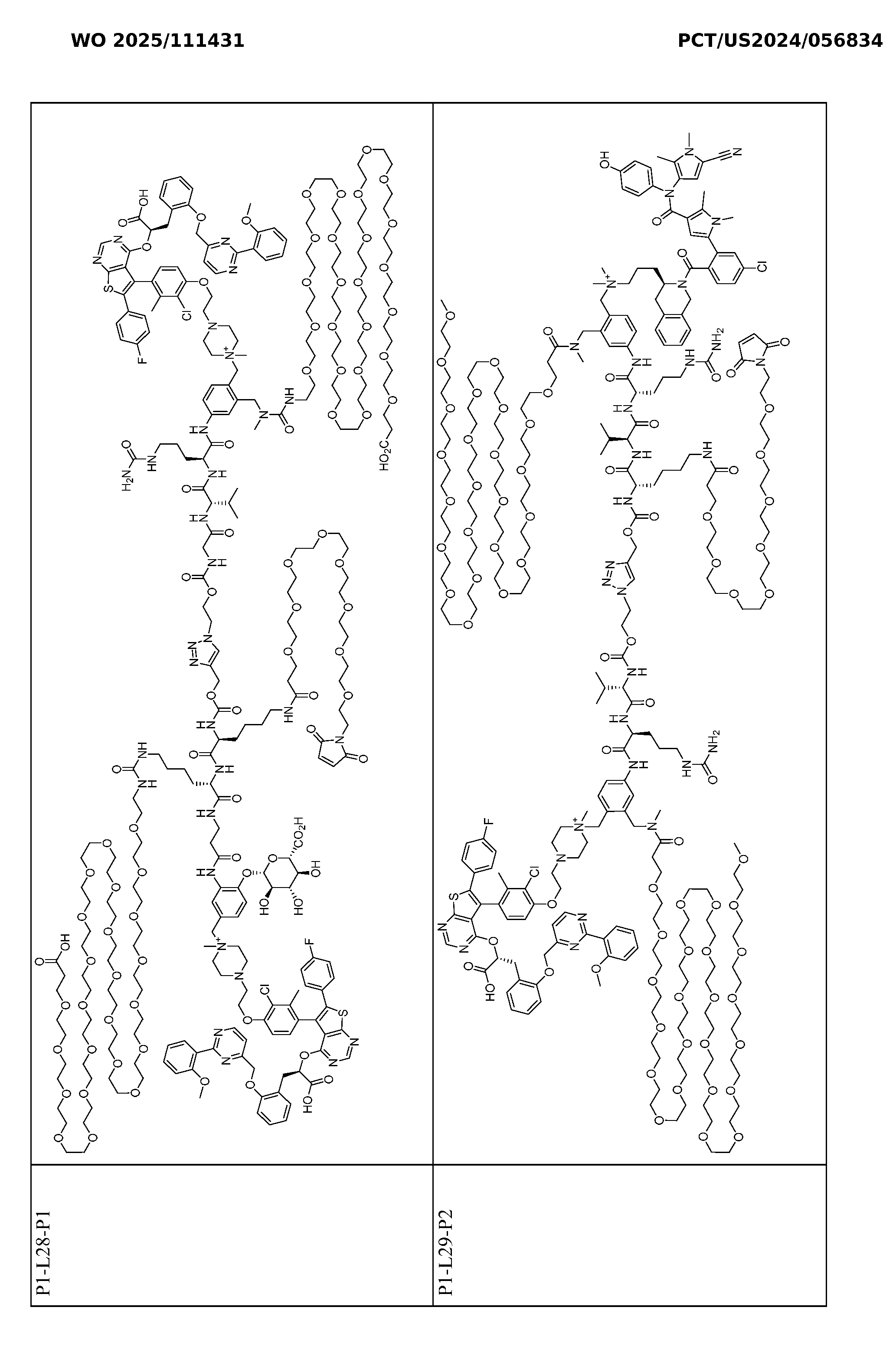 Figure imgf000152_0001