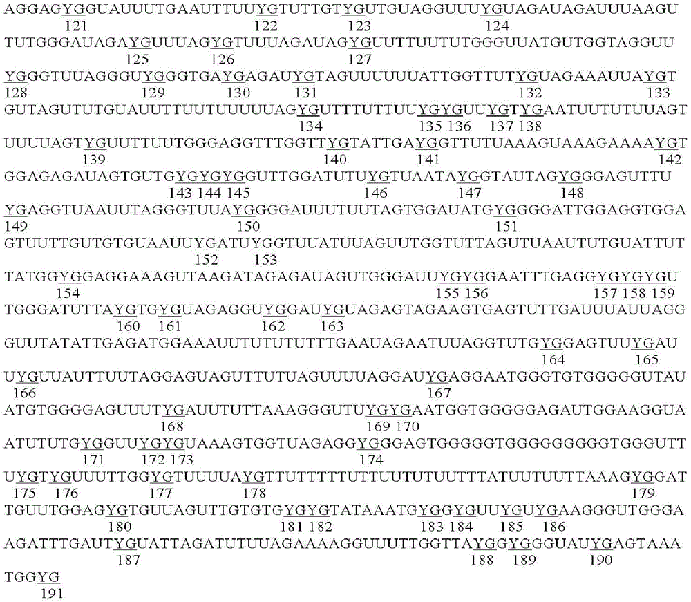 Figure GDA0003601660750000121