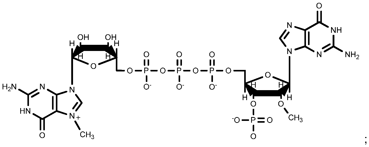 Figure imgf000005_0001