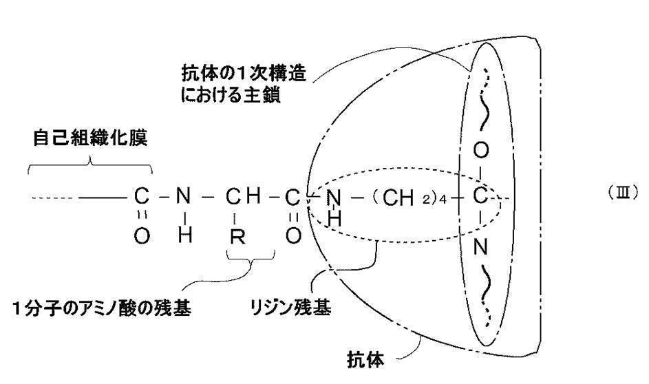 Figure JPOXMLDOC01-appb-C000005