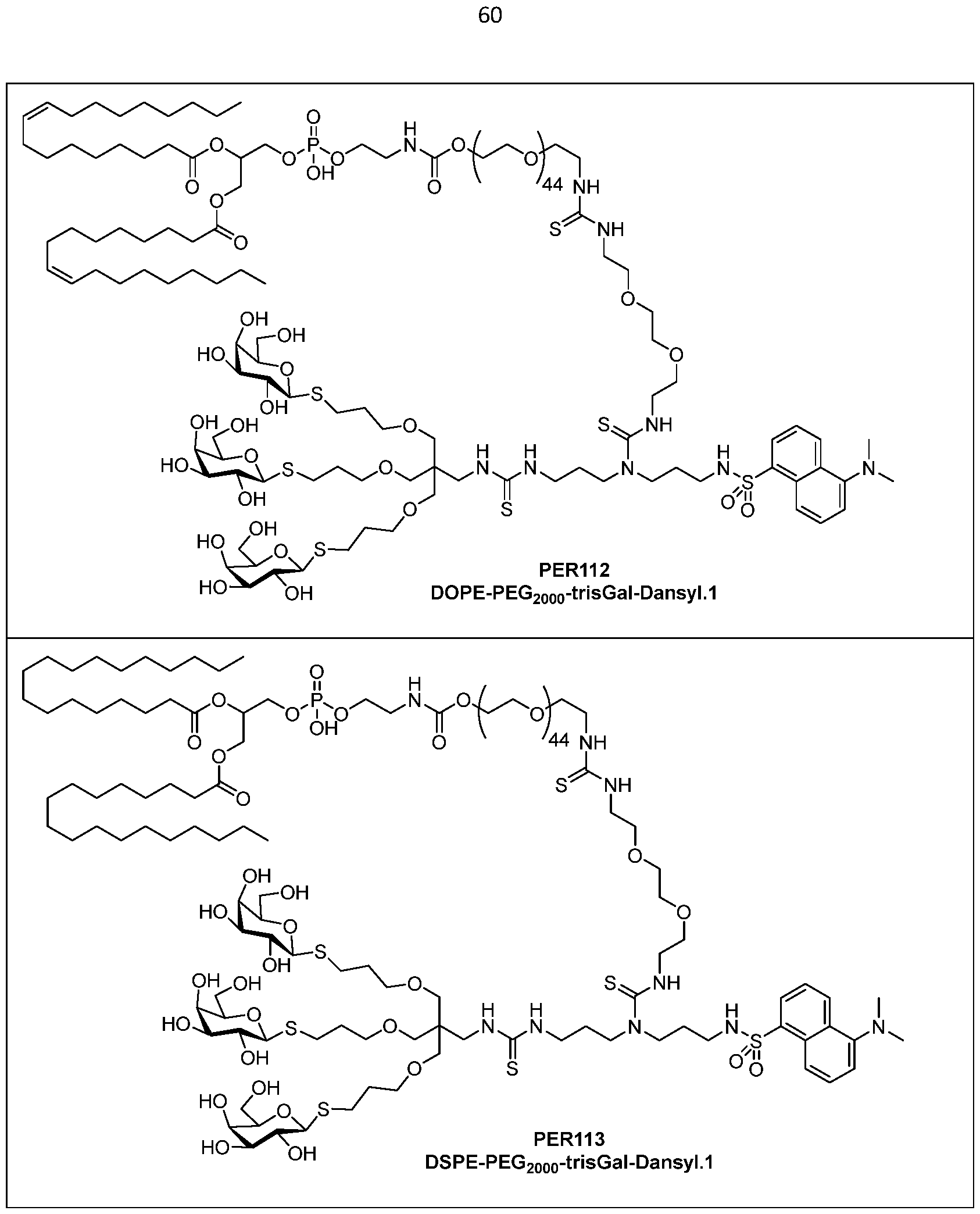 Figure imgf000061_0001