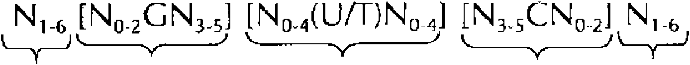 Figure imgf000011_0002