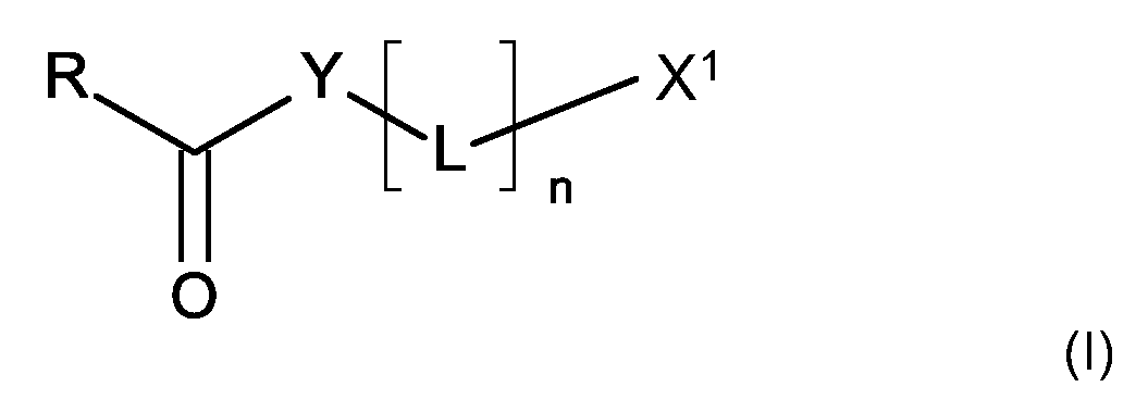 Figure 112024502513354-pct00082