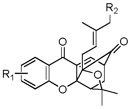 Figure imgf000019_0001