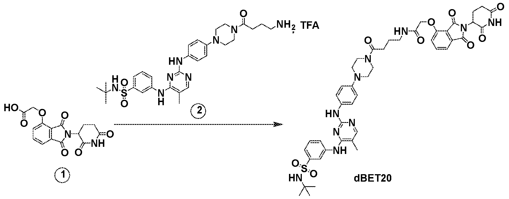 Figure imgf000260_0001