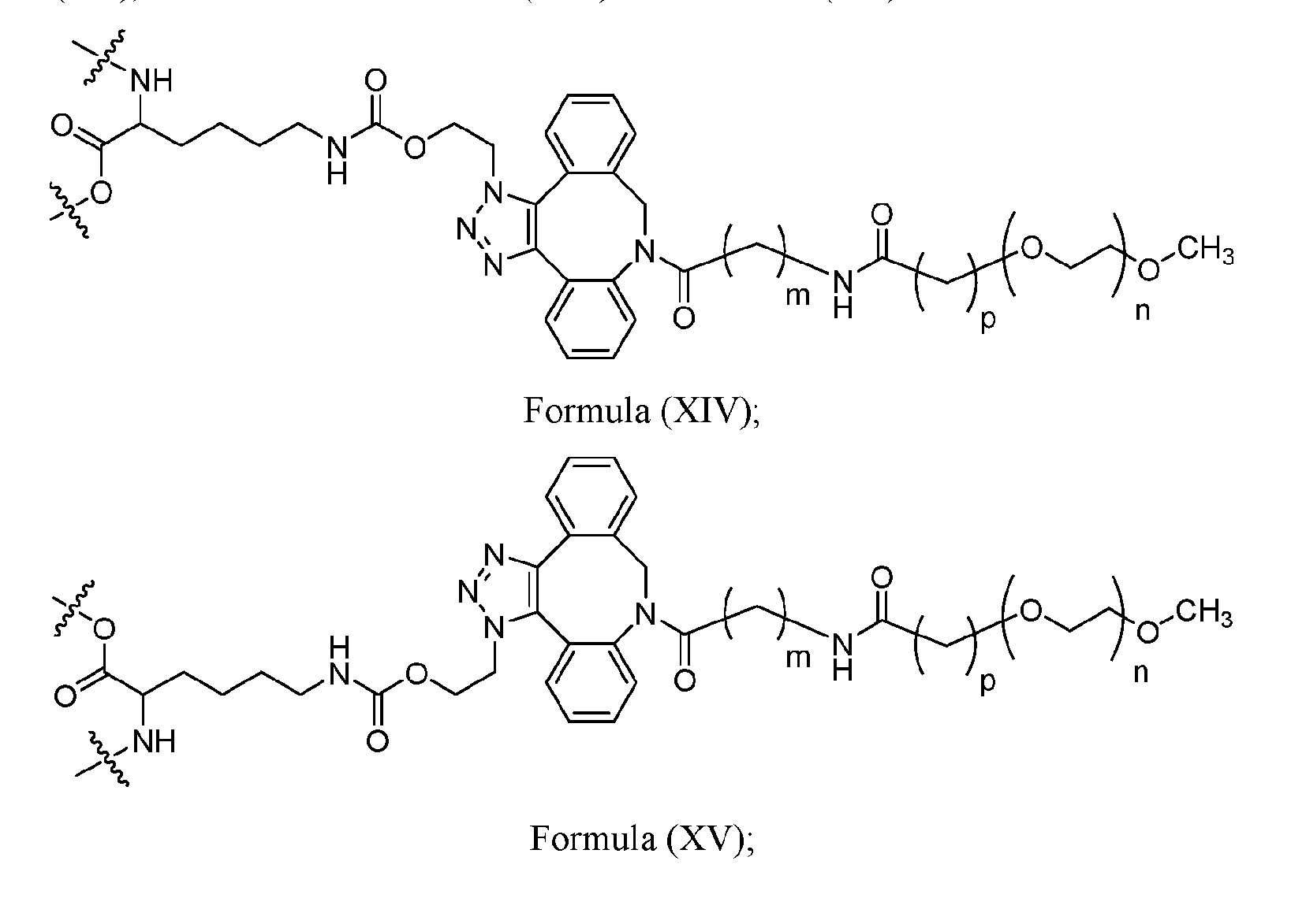 Figure imgf000026_0001
