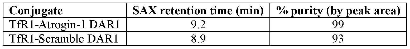 Figure imgf000145_0001