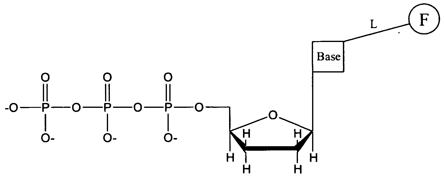 Figure imgf000052_0001