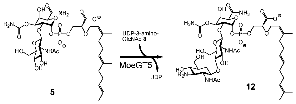 Figure imgf000208_0002