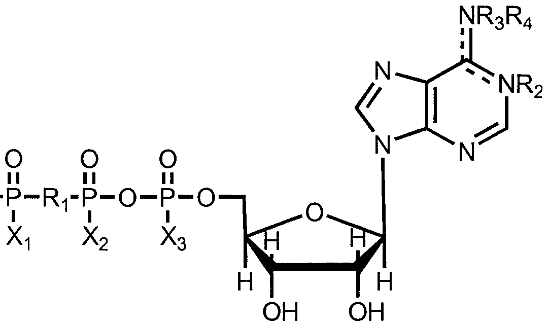 Figure imgf000017_0001