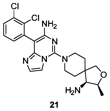 Figure PCTCN2019121844-appb-000062