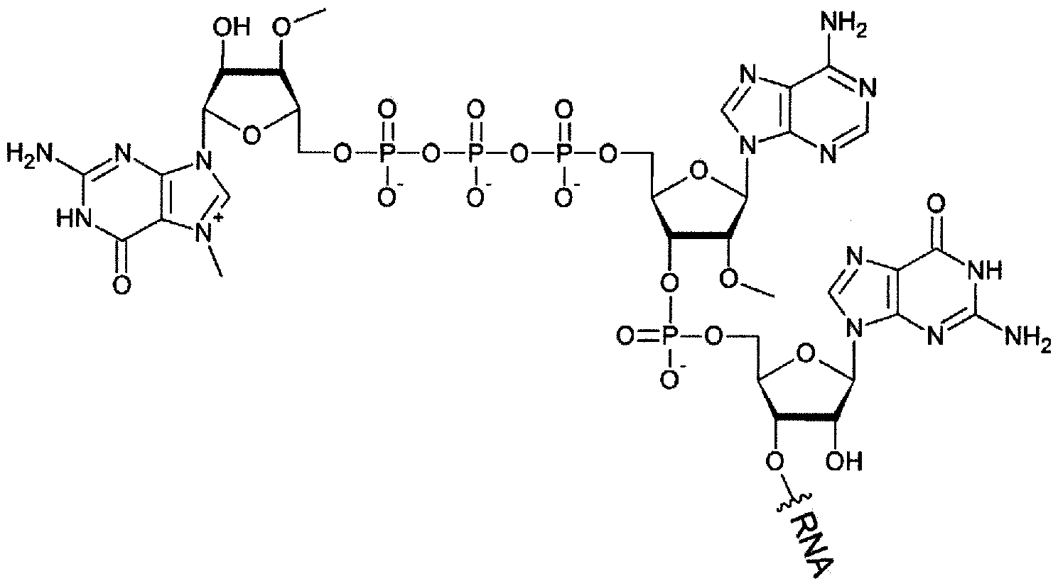 Figure imgf000097_0001