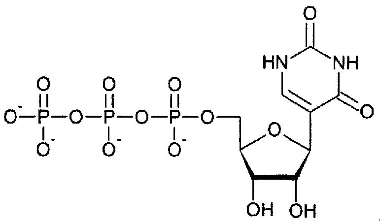 Figure imgf000038_0004