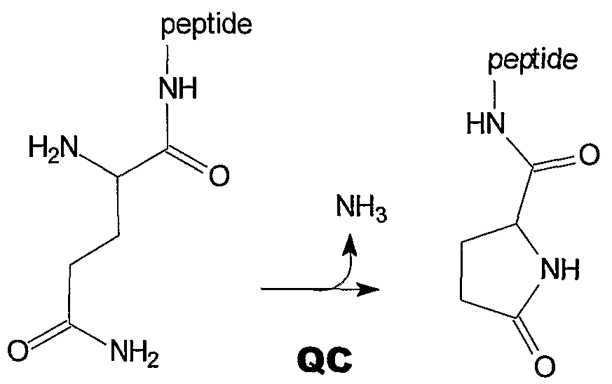 Figure imgf000008_0001