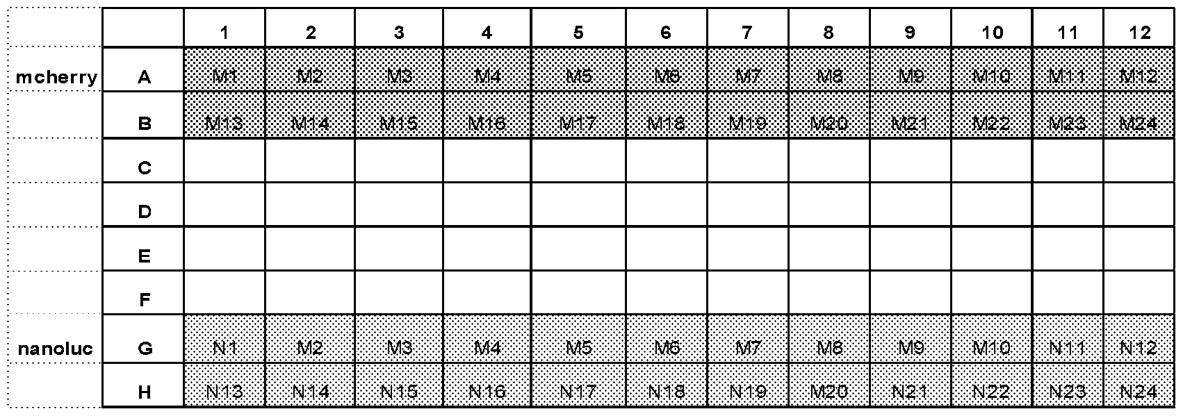 Figure imgf000125_0001
