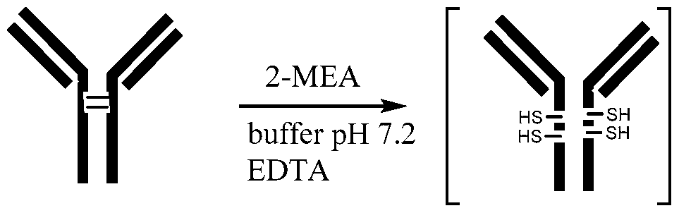 Figure imgf000152_0001