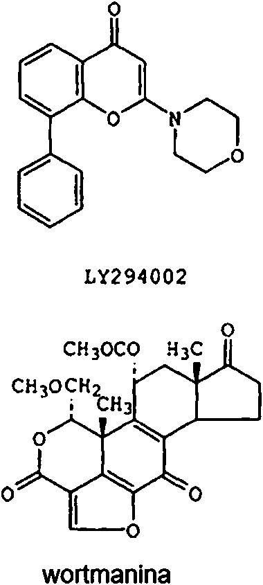 Figure imgf000004_0001