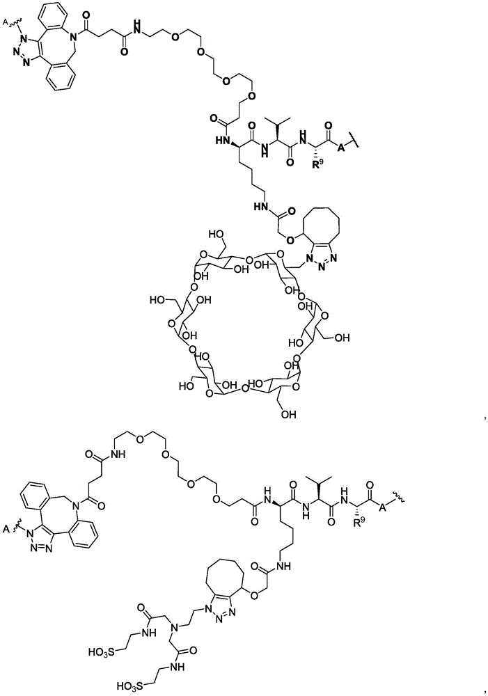 Figure BDA0003169092350000561