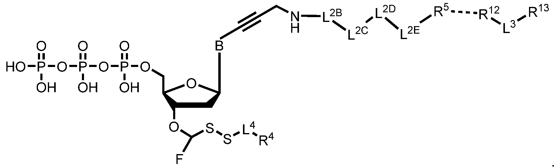 Figure imgf000261_0002