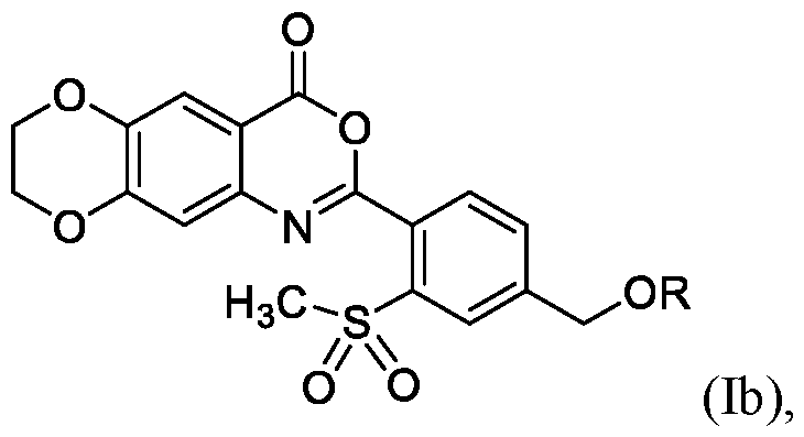 Figure imgf000011_0002