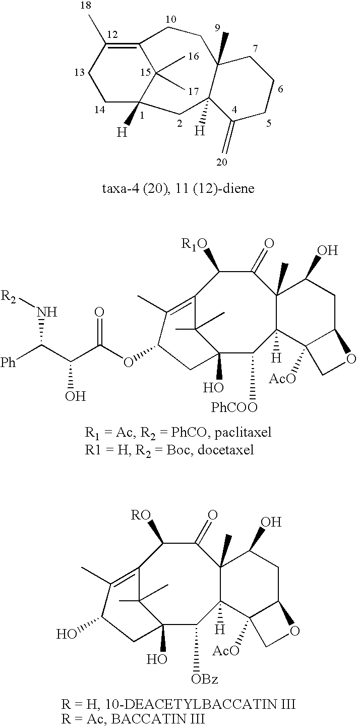 Figure US20080119421A1-20080522-C00002