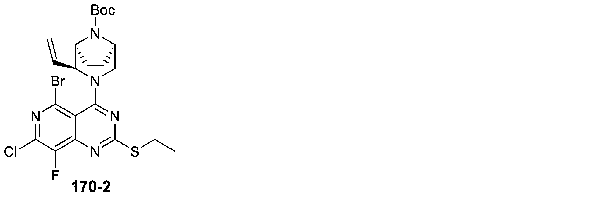 Figure 2025513258000537