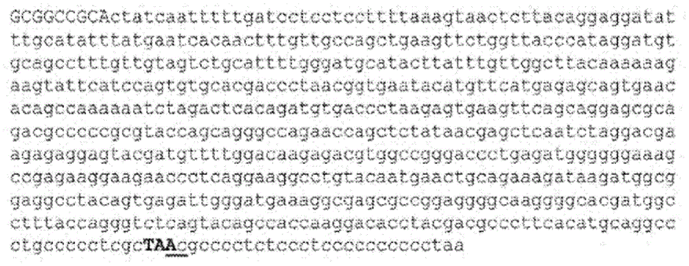 Figure BDA0001663560350000682