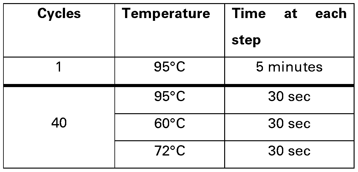 Figure imgf000053_0001