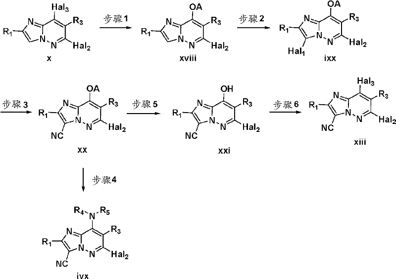 Figure BDA0000066834830000441