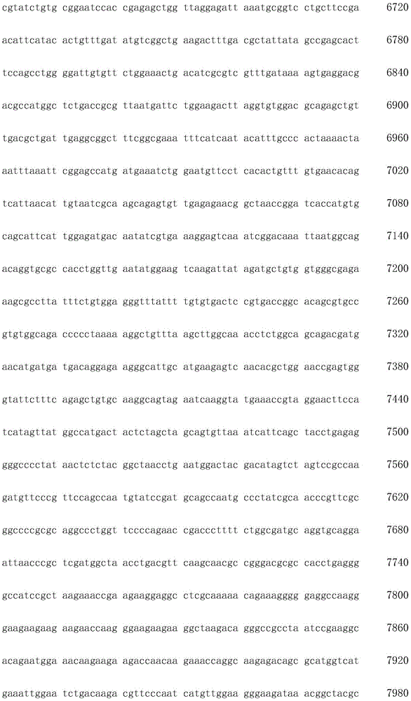 Figure IDA0002872168960000751