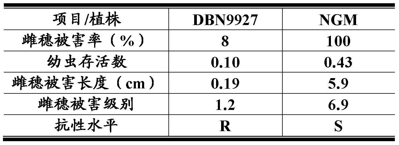 Figure PCTCN2016077864-appb-000017