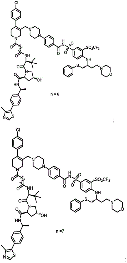 Figure BDA0003293294510000241