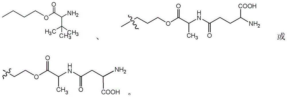 Figure BDA0003135424430000971
