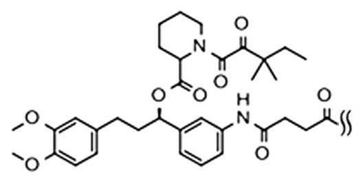 Figure 0007161760000010