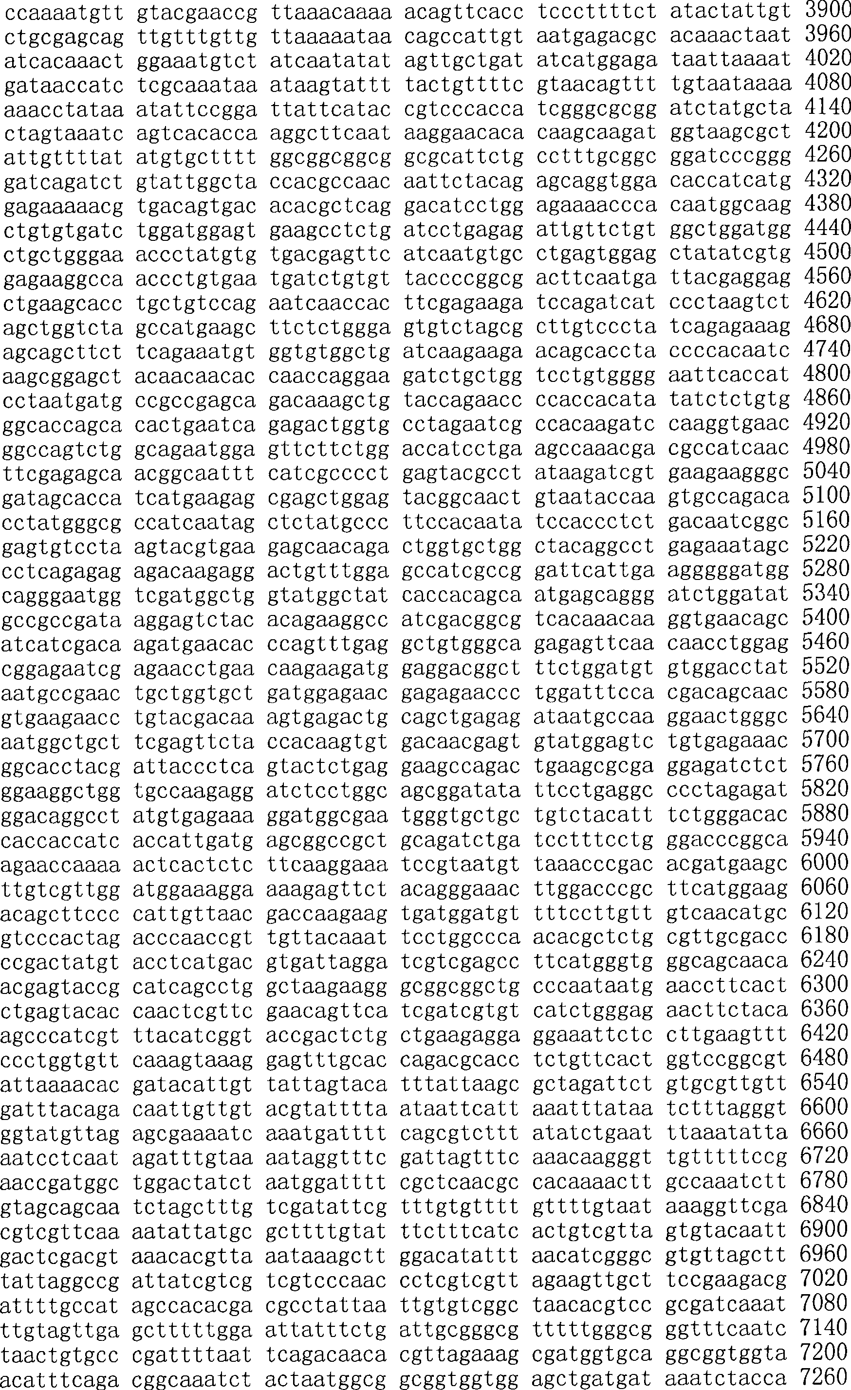 Figure A200780009494D01761