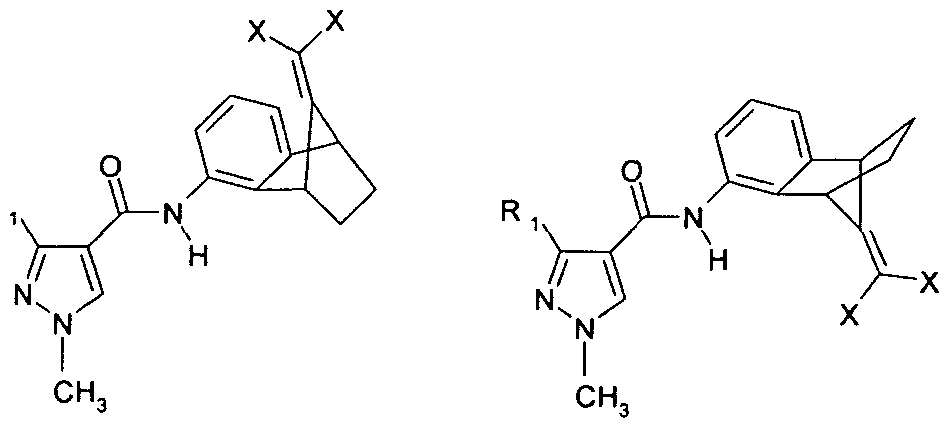Figure imgf000012_0002