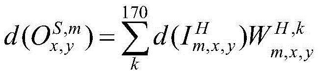 Figure GDA0002371095010000179