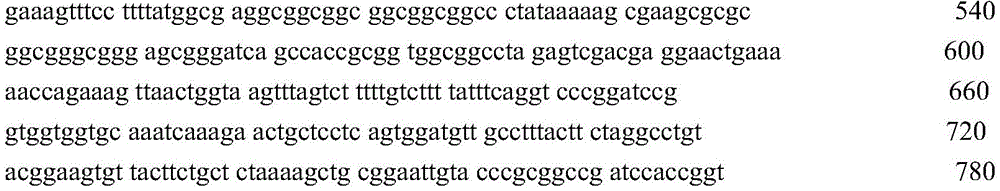 Figure GDA0004072109420000385