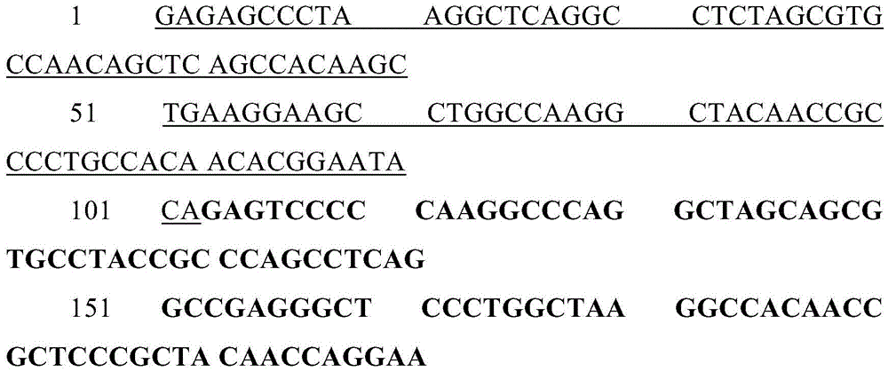 Figure BDA0003687805760000302