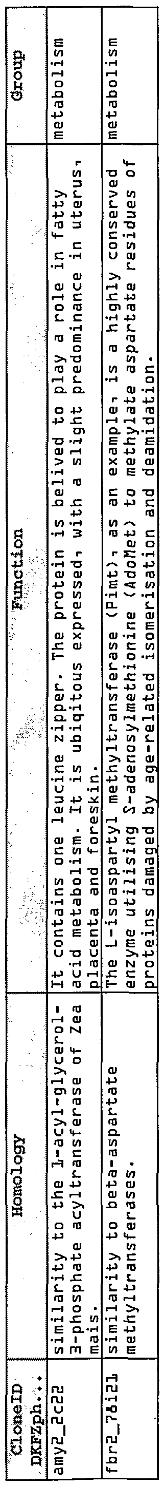 Figure imgf000019_0001