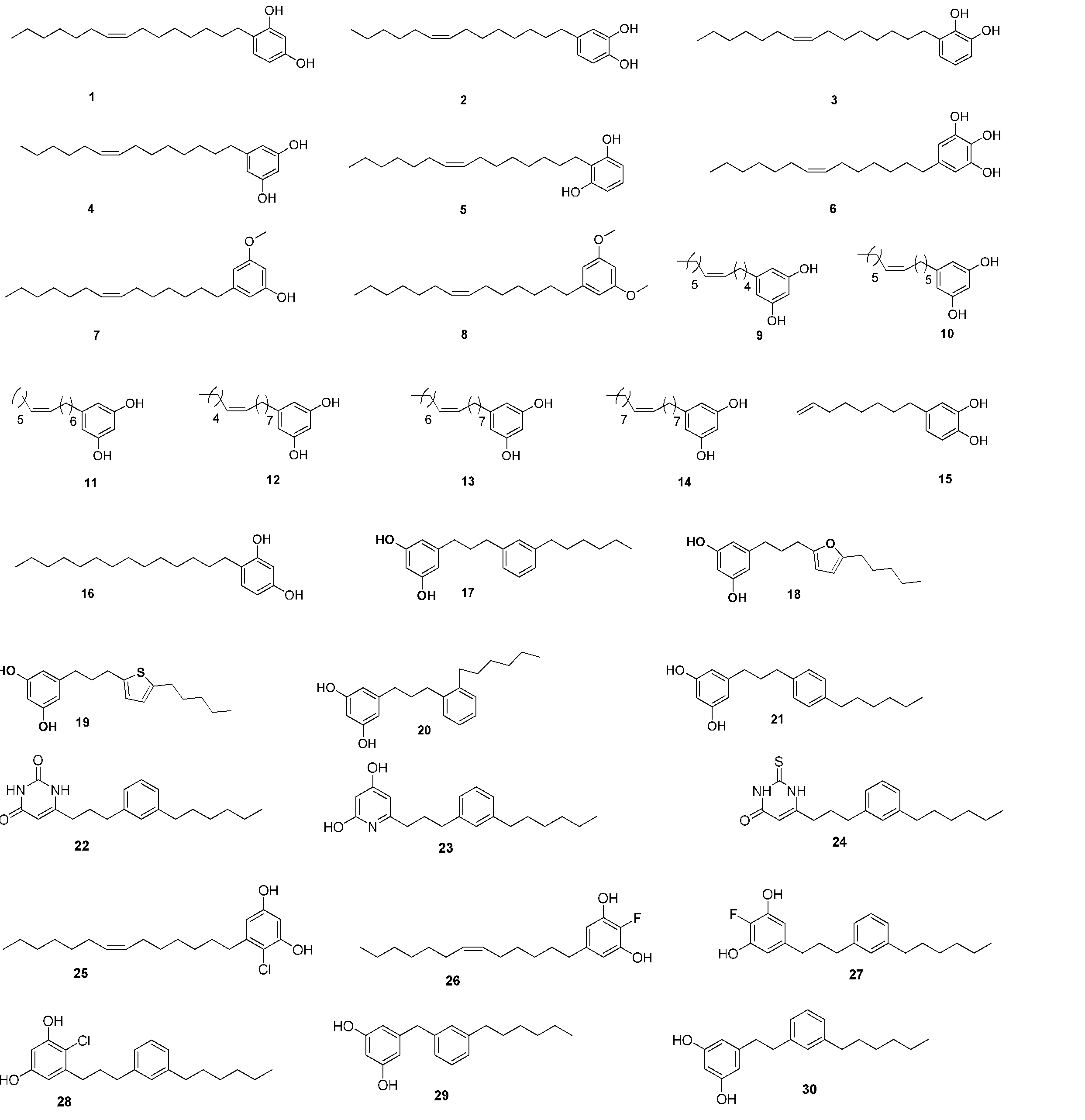 Figure 2024518569000006